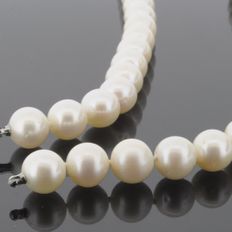 Ferskvandsperle halskæde til udskiftelig lås, 41cm, 9mm - 480135940