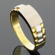Herrering ringskinne 4-5,6mm poleret og matteret 14K bicolor guld - wm