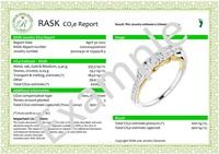 RASK CO2e-Report Certificate