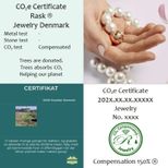 EST CO2 Certificate Rask